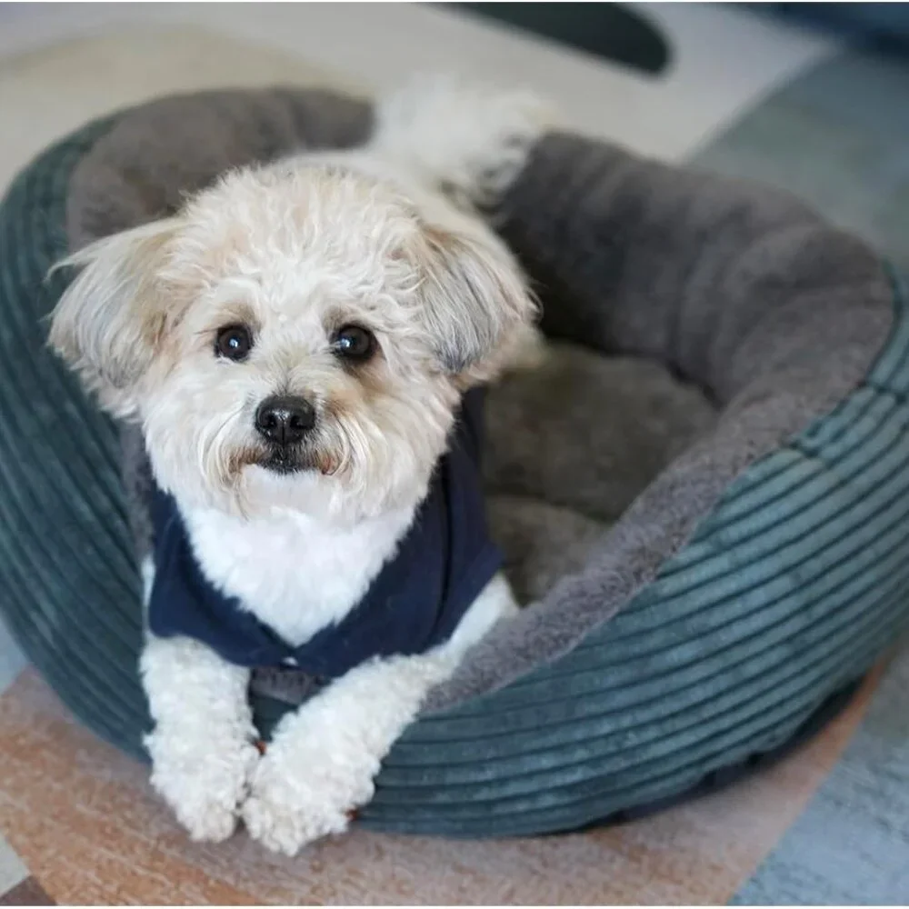 Dog Beds Small Dogs Waterproof Lining Nonskid Bottom Washable 19x16 Dark gray